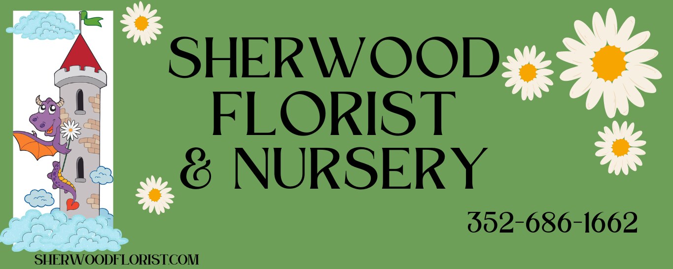 Flower Delivery to Spring Hill by Sherwood Florist Plus Nursery